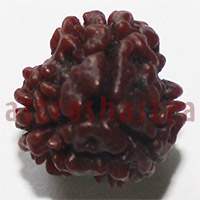 3 mukhi 24958 16mm
